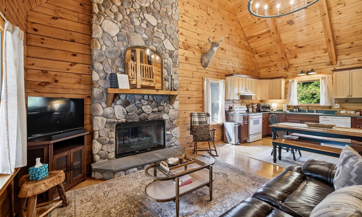 Watervliet House | 10 Acre County Line Cabin - Private Pond & Firepit