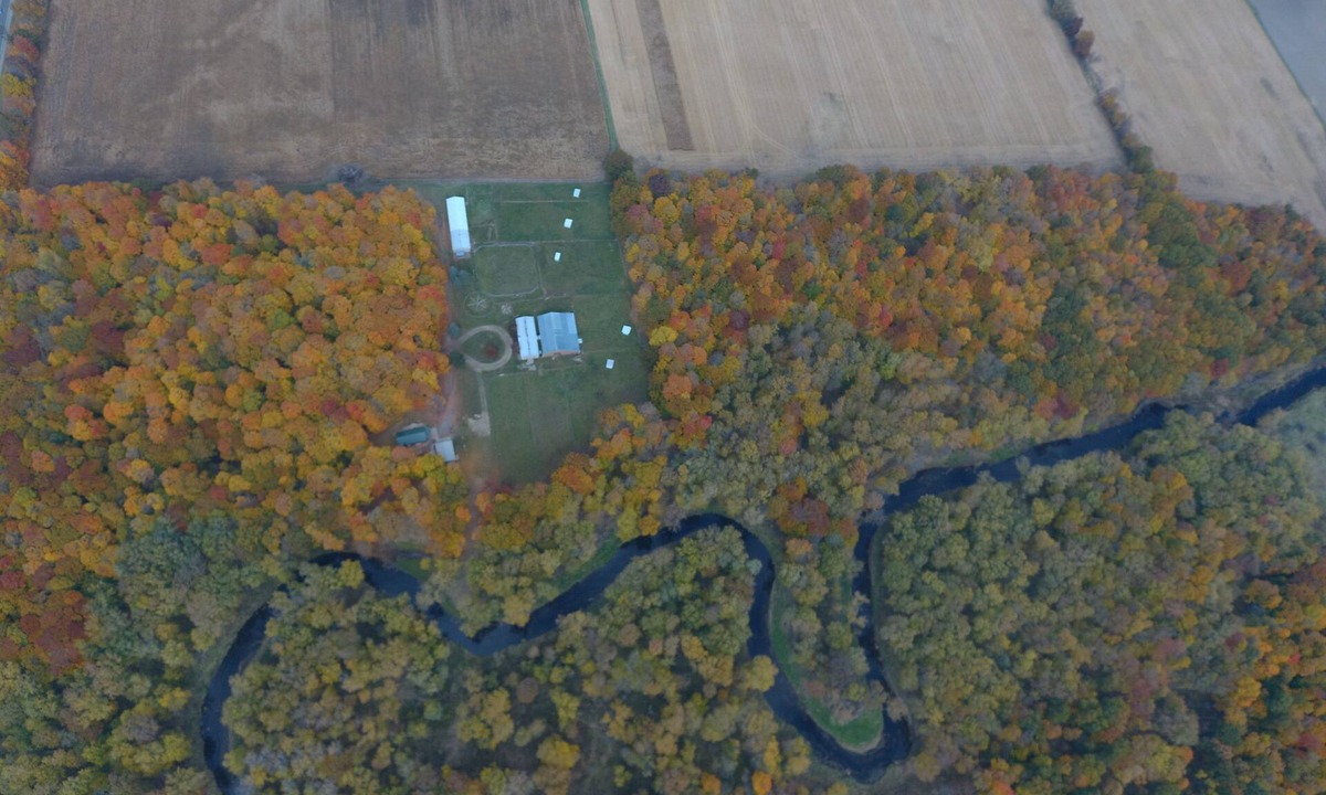 Shaftsburg Cabin | Charming Cabin Hideaway, Peaceful Woodland Escape
