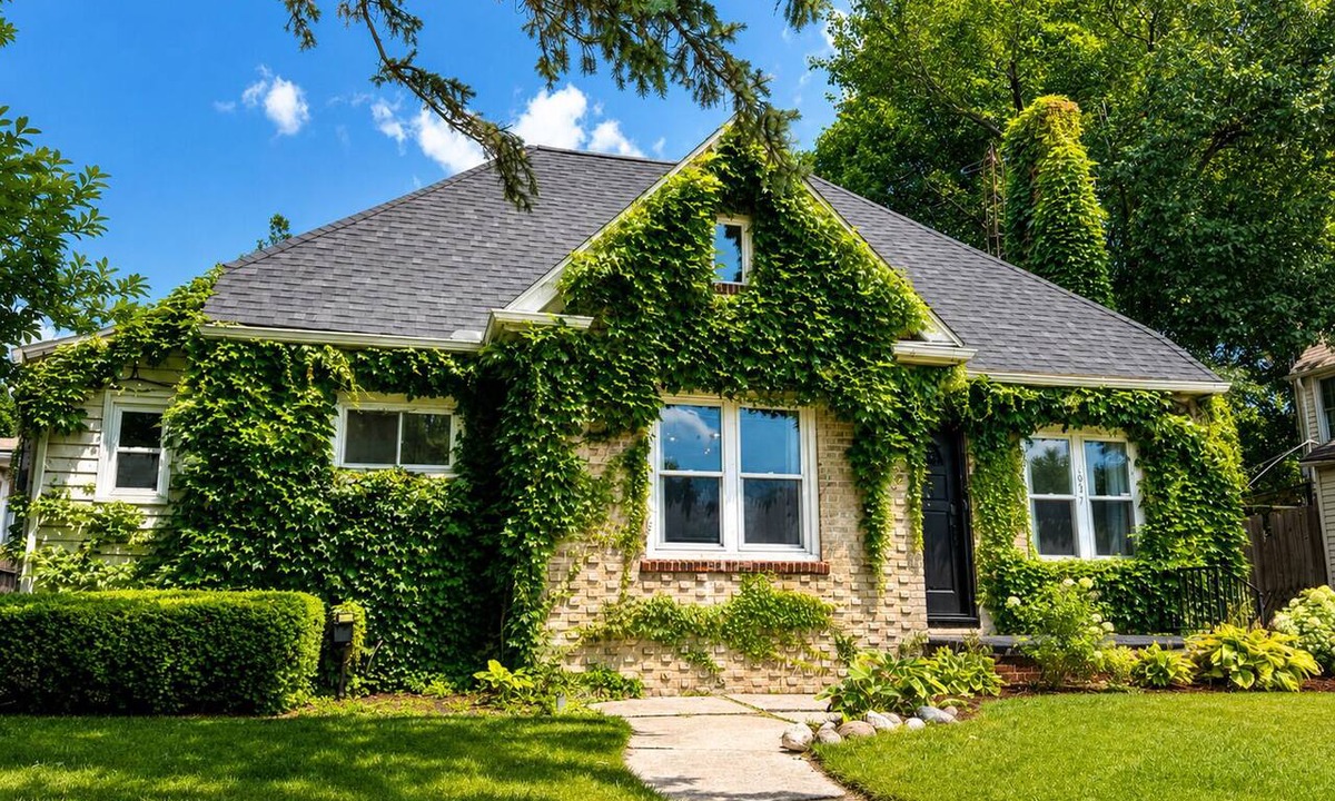 Flint House | Cozy Home in College Cultural
