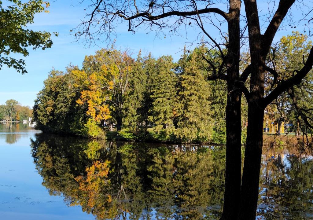 Paw Paw House | Cozy Quonset Hut On Maple Lake