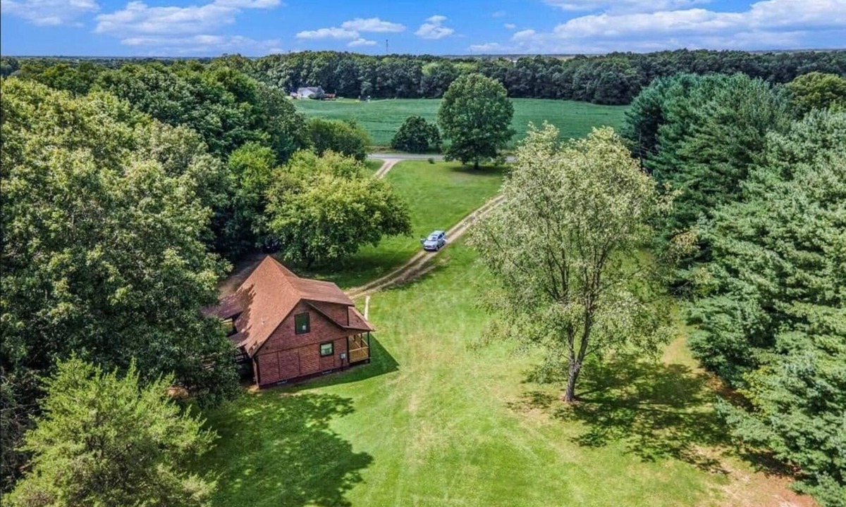 Scotts Cabin | Tall Pine Haven - 9 acres, king bed, dog friendly!