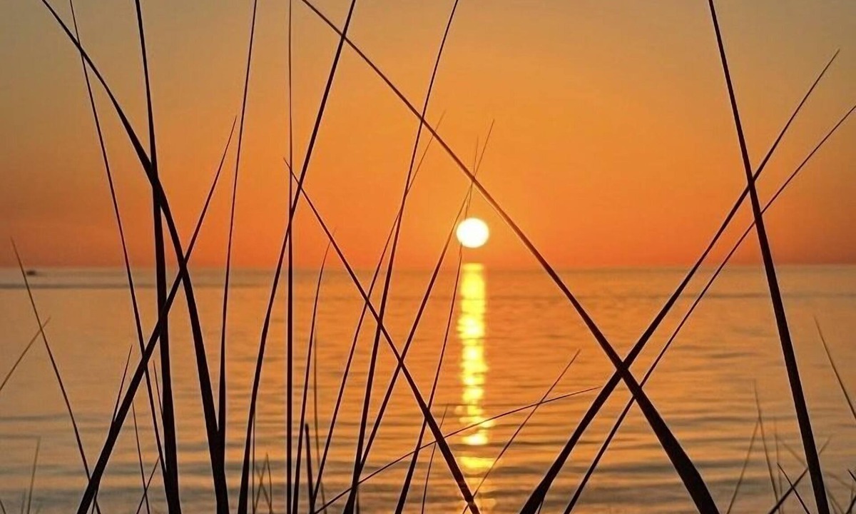 Port Sheldon Cottage | Your private beach. The week sells fast so book your Lake Michigan get away now!