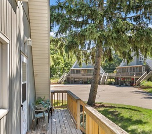 Chalet Villa 
