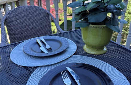 Oak Park Apartment | 2-BR central Oak Park flat+near FLW homes+near trains to Chicago+pets ok+parking