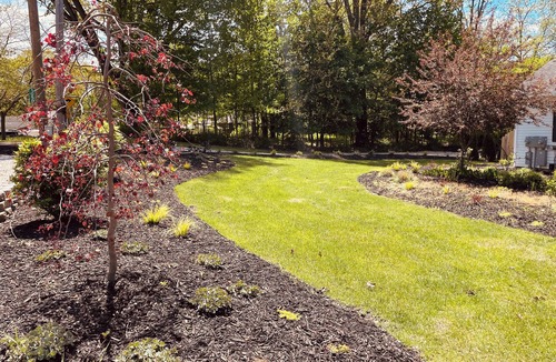 Saugatuck House | A Step Away: The Haven – Walk to Town Getaway~Dog Friendly~Fenced Yard~Fire Pit