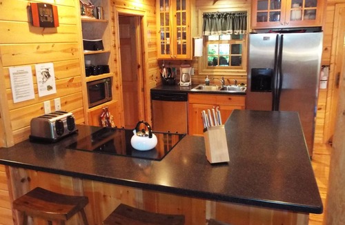 Saugatuck Cabin | Beautiful Luxury Cabin With Pool/Private Hot Tub