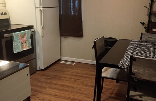 Mount Pleasant House | Budget friendly unit located downtown close to CMU and the Soaring Eagle Casino