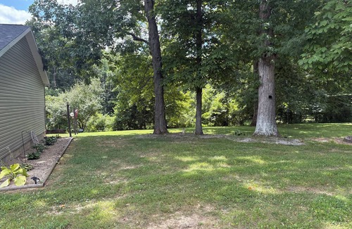 Bloomington House | Charming 1-bedroom house in Bloomington 6 min from campus. with all amenities