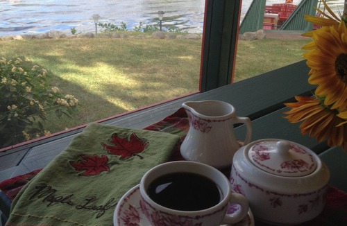 Paw Paw Cabin | Cozy cabin w fab lake view. Late Aug open. Pontoon, fishing, campfire! Pets ok