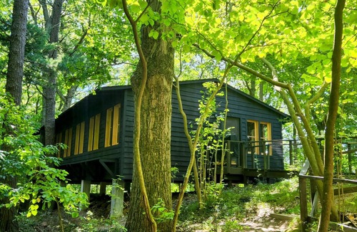 Shelby Cottage | Cozy, cute, clean cottage near Lake Michigan