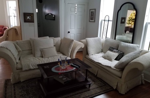 Grand Rapids Apartment | Downtown GR apartment on Medical Mile, covered front porch cross from Coit Park