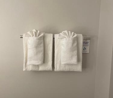 Muskegon Hotel | Holiday Inn Express & Suites Muskegon - Grand Haven by IHG
