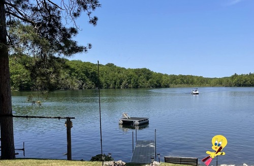 Barryton Cottage | Lakefront cottage on Diamond Lake