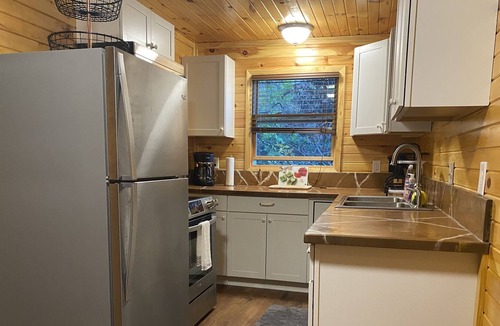 Battle Creek Cabin | Laurabelle Lake House - Lakefront & Dog Friendly