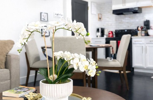 Niles Apartment | Le petit Nid: Bright Executive Stay, Fully Furnished, Comfort from Day One.