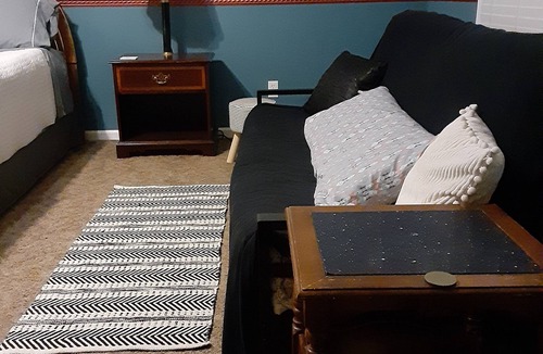 Adrian Bed & Breakfast | Meadowbrook in Quiet, Peaceful Setting in Adrian, private room