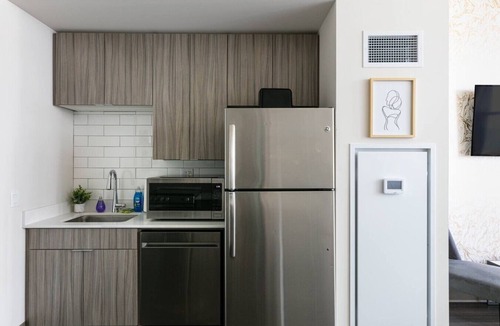 Printers Row Condo | Mich Ave Downtown Penthouse - Rooftop+Gym