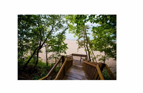 Three Oaks Cottage | NEW Modern Wooded Guest House, Fireplace, Harbor Country, Close to Cherry Beach