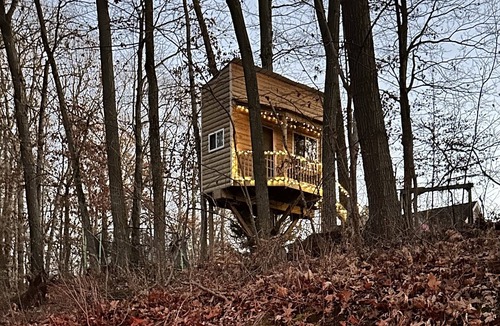 Brooklyn Cabin | Reconnect with nature in this one of a kind experience!