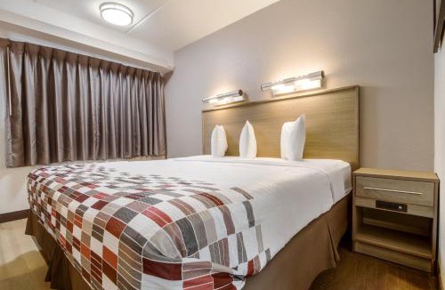 Farmington Hills Hotel | Red Roof Inn Detroit - Farmington Hills