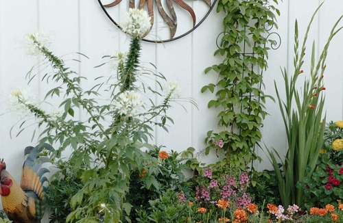 Muskegon House | Snug Harbor Inn | Honeybee Suite | Near Lake Michigan