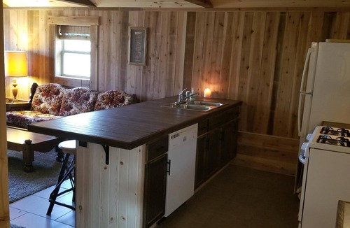 Walhalla Cabin | Walhalla Sportsman's Cabin near rivers, lakes, National Forest! Cable tv-wifi