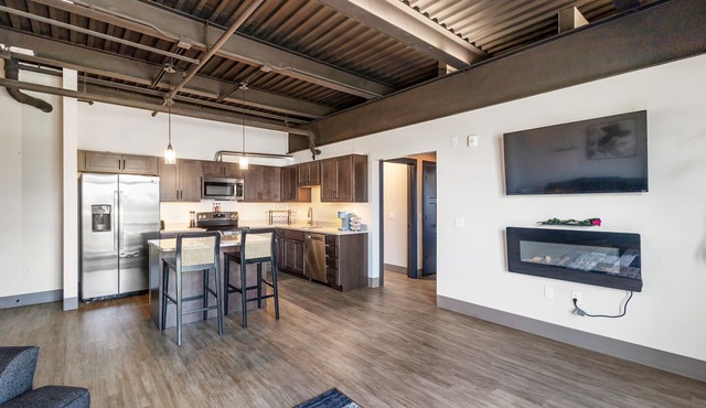 301 - Luxury Downtown Condo 1 bedroom