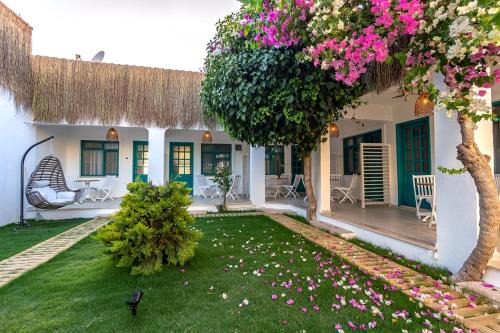 Avlu Otel Palamutbükü in Datca