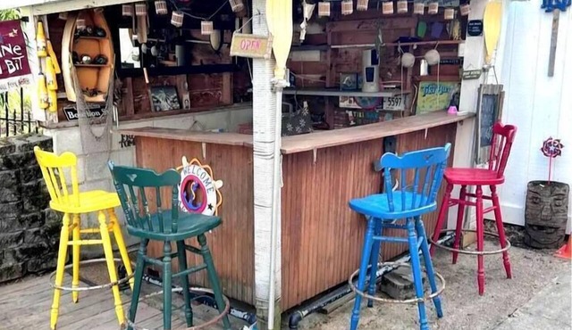 Backwater Lake Cottage | Tiki Bar & Paddleboat