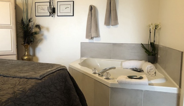 Beachfront Honeymoon suite jacuzzi, fireplace, Bbq, Hot tub,oyster/clams,kayaks in Qualicum Beach