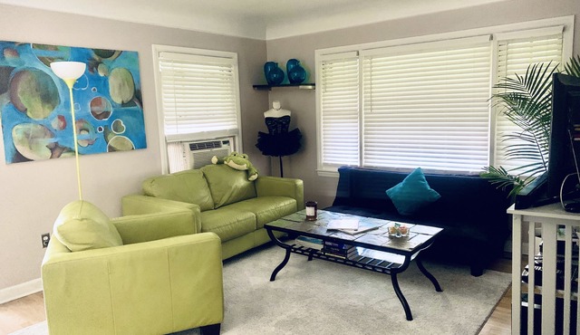 Clean, cozy, funky Ferndale getaway, great location