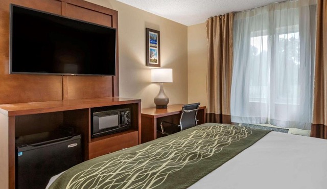 Comfort Inn & Suites Dimondale - Lansing