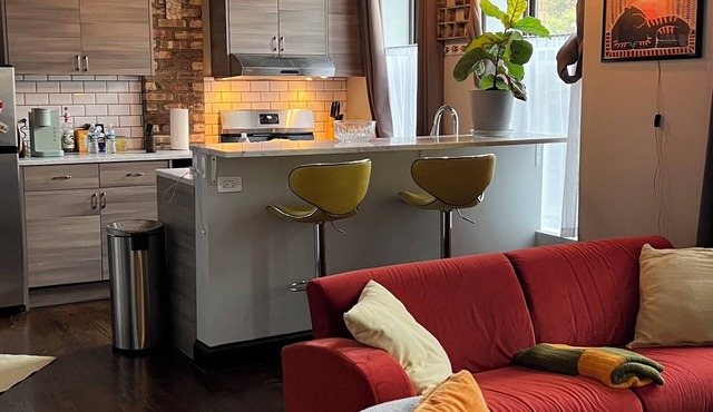 Cozy & Chic 2BR Loft on 18th St in Chicago