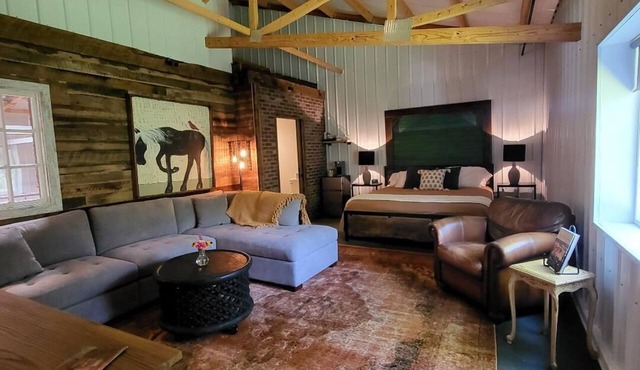 Cozy loft inside a vintage store on an animal rescue farm in Westville, IN
