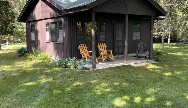 Cozy, rustic log cabin on Mullett Lake #6 in Cheboygan