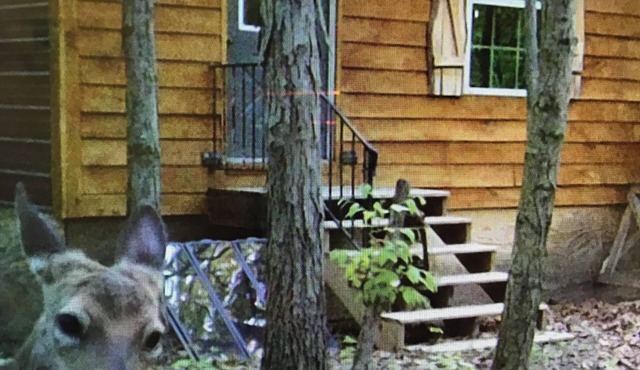 Off grid cabin adjacent to Corp of Engineers ground. Perfect Deer Camp