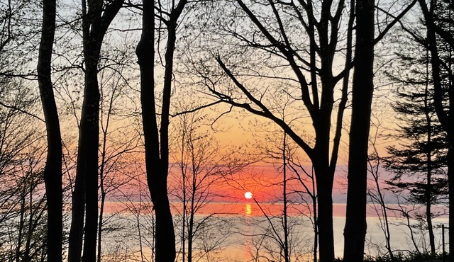 Updated lakefront cottage - beautiful views! Walk to beach!