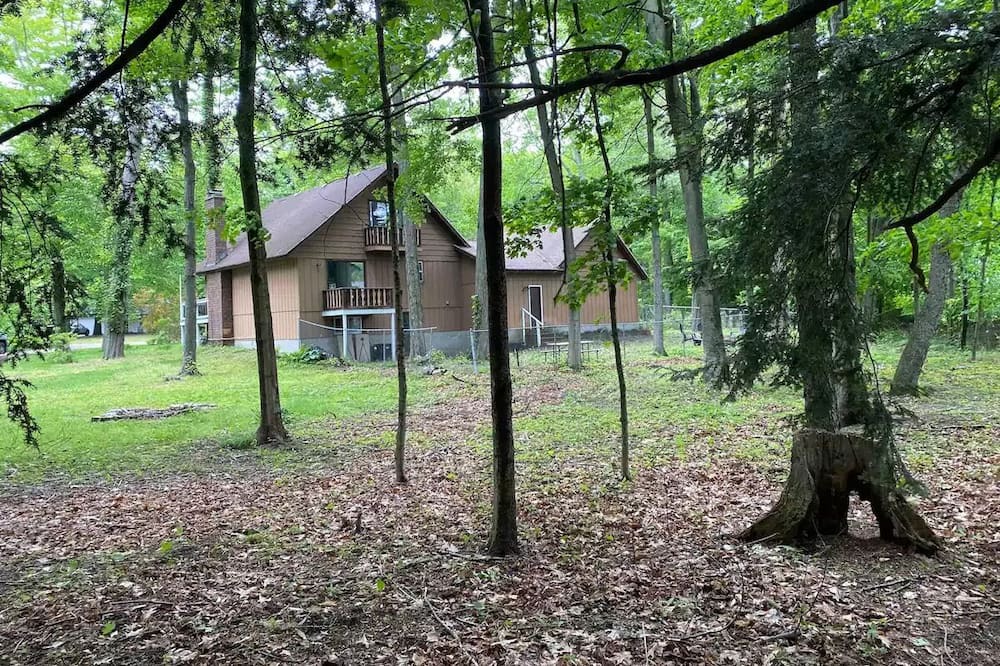 Photo of Others in Waukazoo Woods
