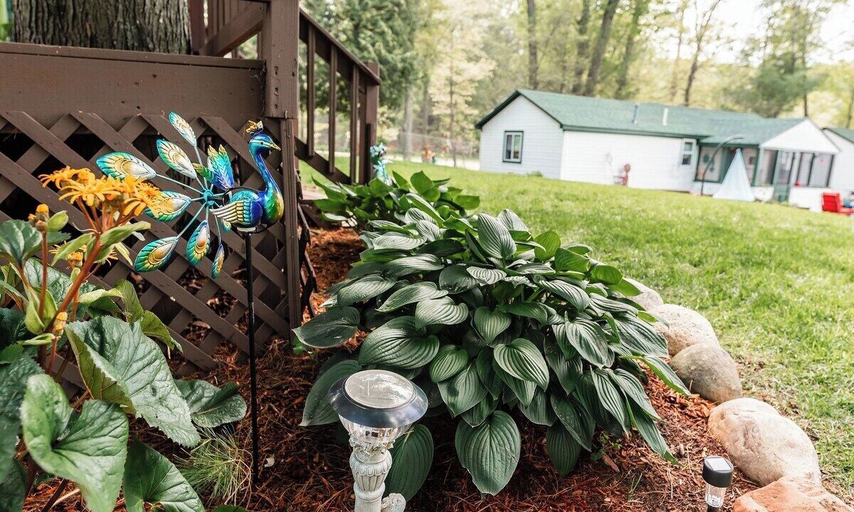 Photo of Outdoor in Holton