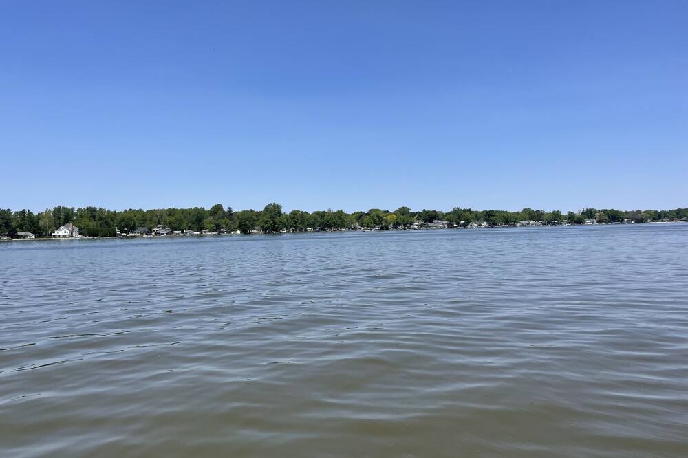 Photo of Others in Lake Odessa