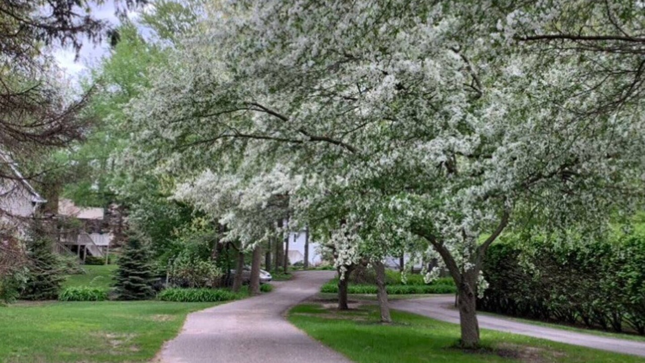 Photo of Outdoor in Beechwood