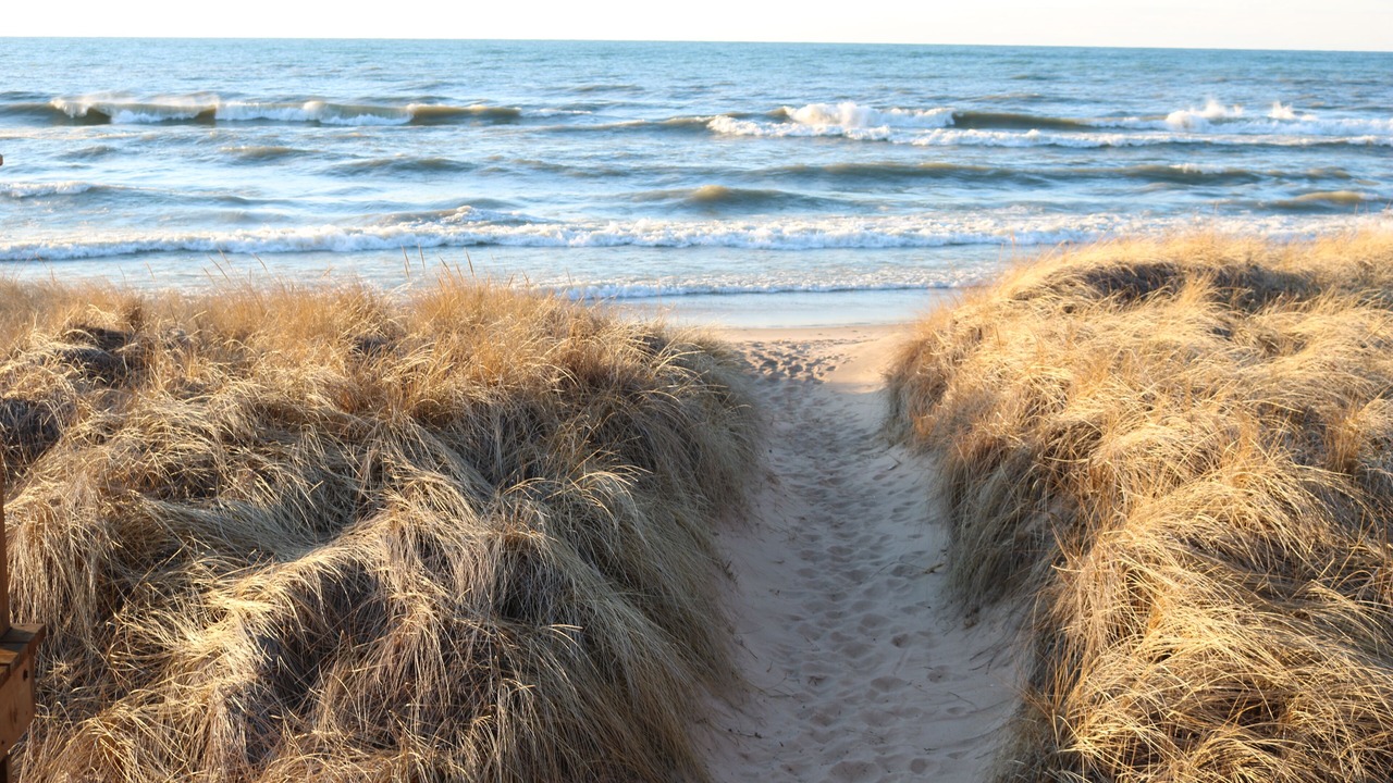Photo of Others in Michigan City
