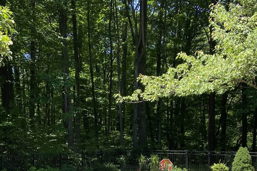 Photo of Outdoor in Three Oaks
