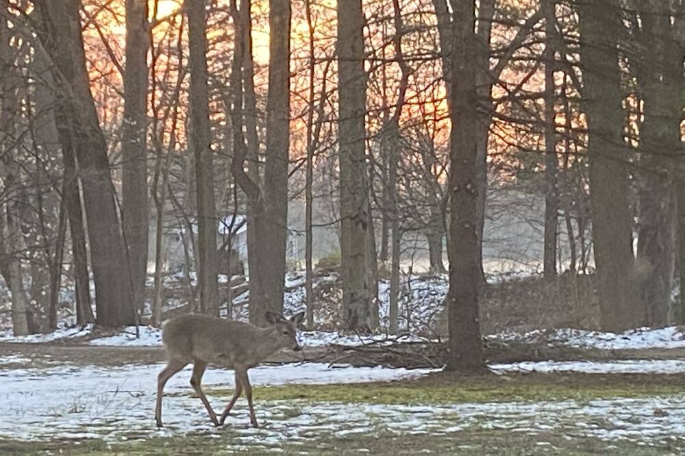 Photo of Others in Three Oaks