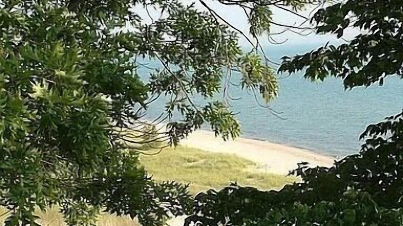 Photo of Others in Norton Shores