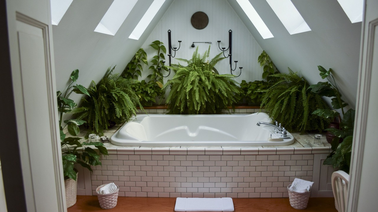 Photo of Bathroom in Grand River