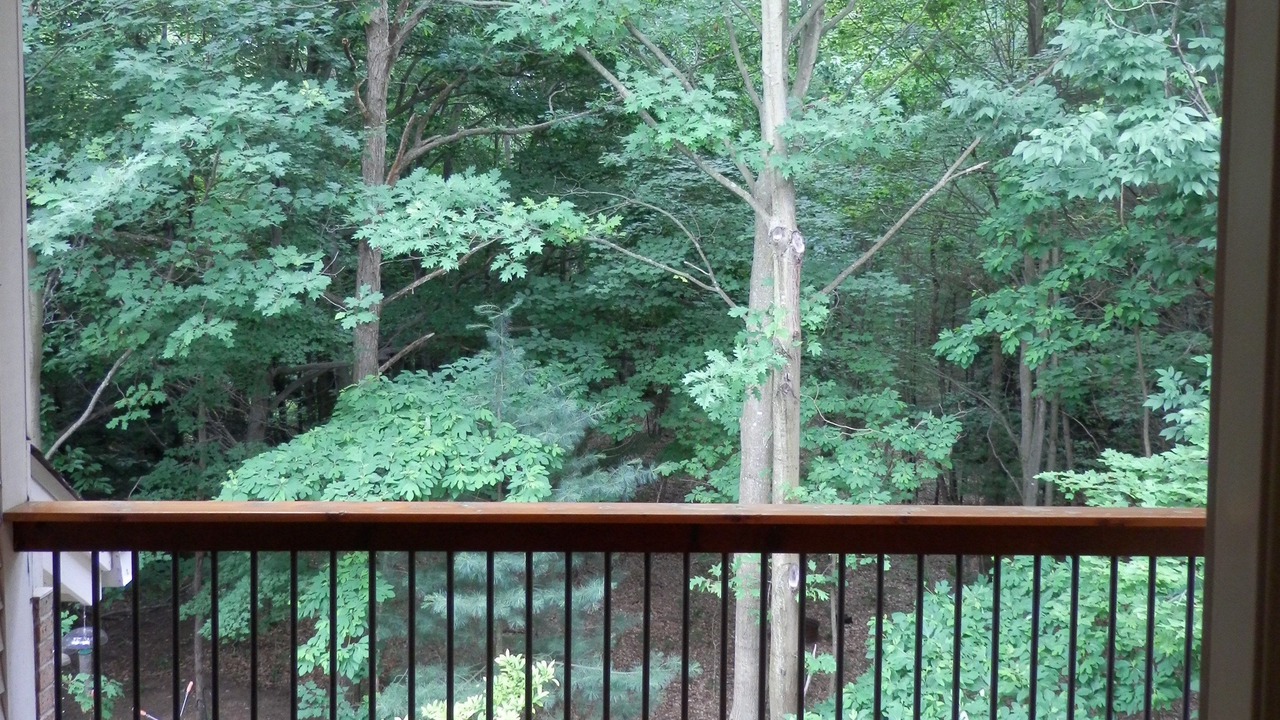 Photo of Patio Balcony in Holland