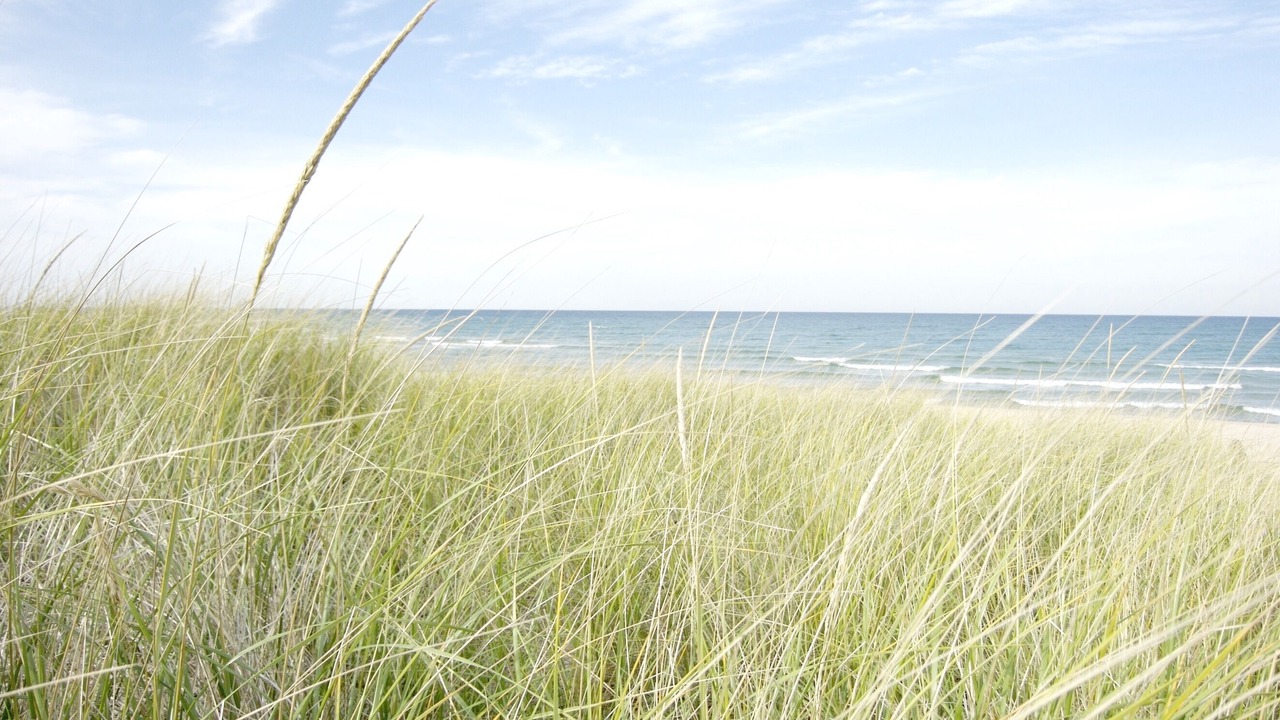 Photo of Others in Michigan City