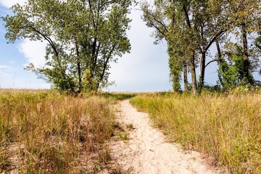 Photo of Others in Michigan City
