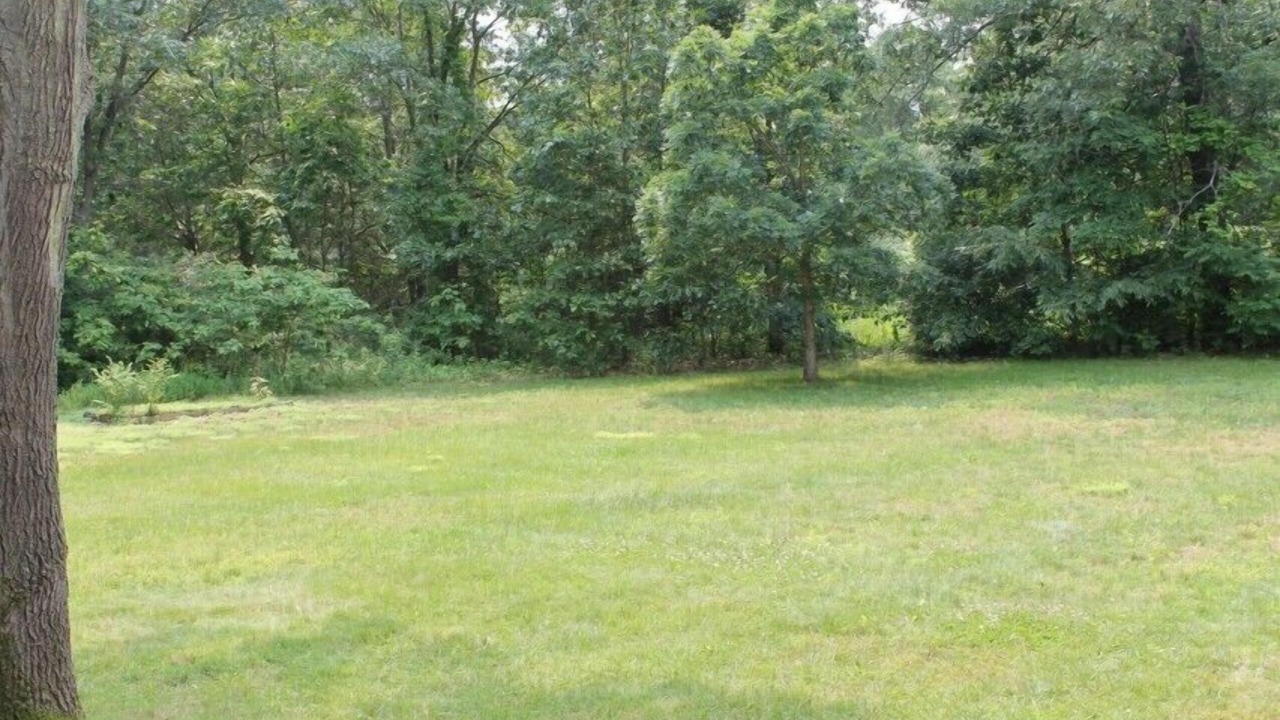 Photo of Outdoor in Saugatuck